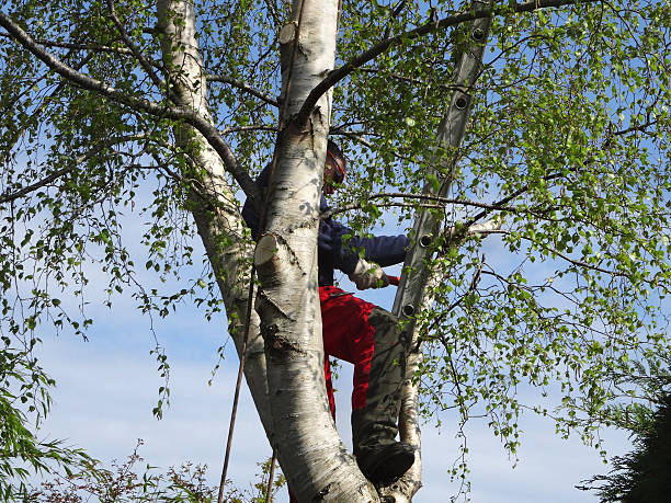 Soil Testing and Treatment in Grand Ronde, OR